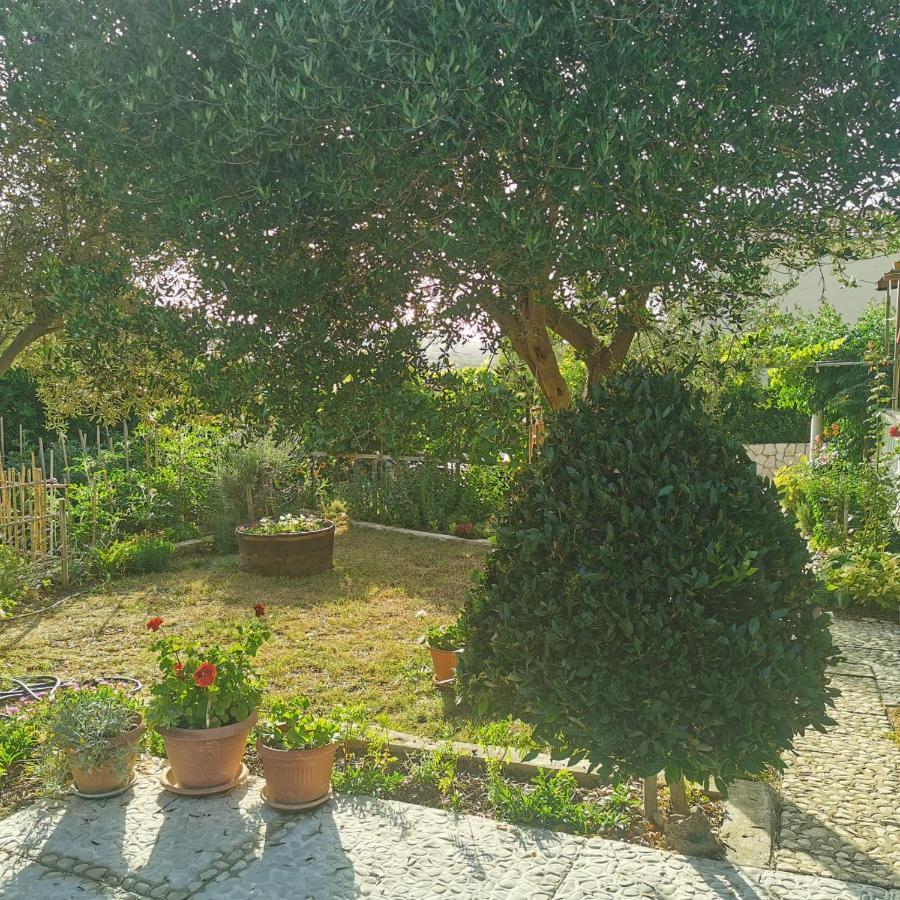 Pag Vlašići Esterno foto