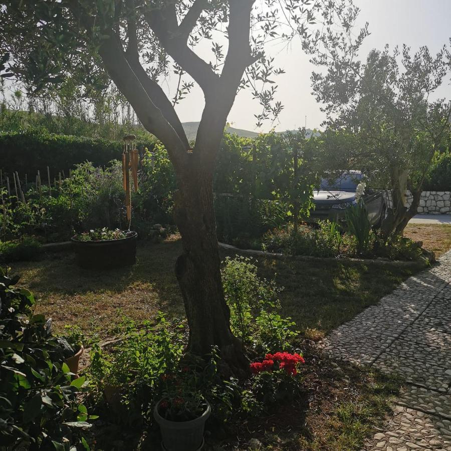 Pag Vlašići Esterno foto
